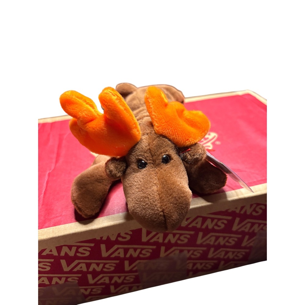 Ty Beanie Baby Chocolate Moose Plush Toy Stuffed Animal With Heart Tags
